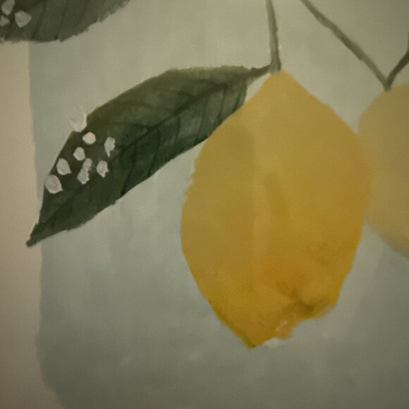 Hobby Lobby Botanical Wood Framed Wall Art Print Lemon Farmhouse 11x9x1 inches - Picture 6 of 7